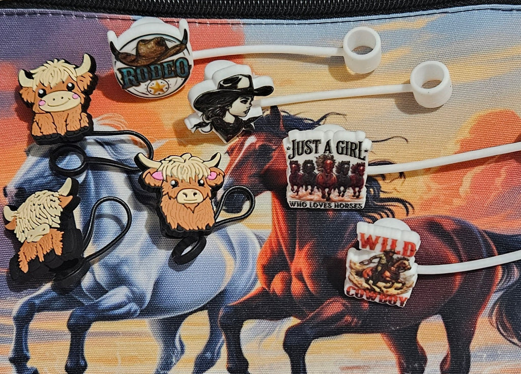 Western Themed Mystery Box
