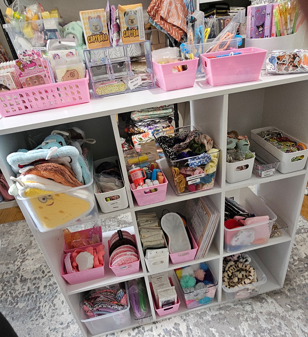 GIRLS MYSTERY SCOOP